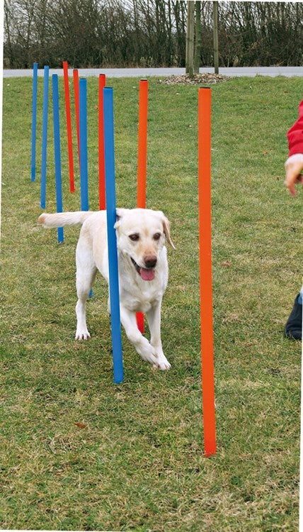 Agility 12 st Slalompinnar Plast 115 cm