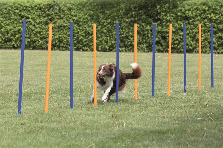 Agility 12 st Slalompinnar Plast 115 cm