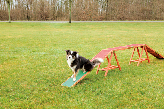 Agility ramp, 456 x 64 x 30 cm