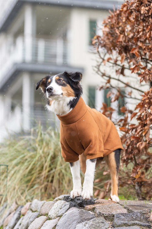 CityStyle Amsterdam sweatshirt, L short: 55 cm, mörkgrön