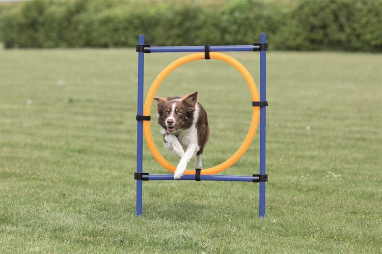 Agility Hoppring Plast 78 x 65 x 115 cm