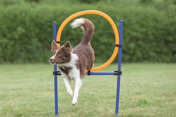 Agility Hoppring Plast 78 x 65 x 115 cm