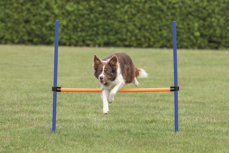 Agility Hopphinder Plast 123 x 115 cm