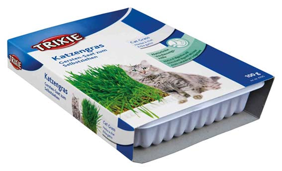 Kattgräs med odlingslåda 100 g