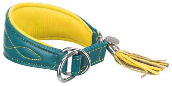 Active Comfort halsband för vinthund, XS-S: 24-31 cm/50 mm, petrol